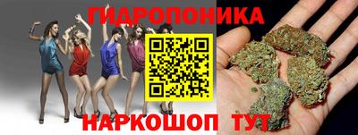 твердый Дмитров