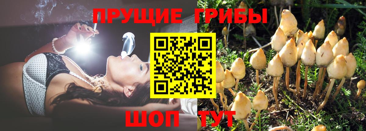 цены   Вход с VPN  Гай  Галлюциногенные грибы MAGIC MUSHROOMS 